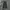 Crux Cargo Pants Multipocket Black photo 5