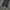 Crux Cargo Pants Multipocket Black photo 4