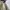 ECWCS Camouflage Military photo 5
