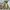 ECWCS Camouflage Military photo 1