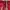 Covernat Casual Short Pria red photo 4