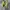 Sepatu Adidas X Ghosted 1 Turf  photo 2