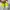 Sepatu Adidas X Ghosted 1 Turf  photo 4