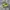 Sepatu Adidas X Ghosted 1 Turf  photo 1