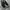 Sepatu Vans Slip On Black White photo 5