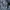 Nike Casual Sweatshirt Pria gray photo 5
