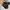 Revenge X Storm BW Shoes Size 10 photo 8