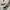 Rok Pendek White Wanita photo 3