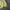 Nike Casual Sweatshirt Pria yellow photo 3