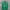 Crewneck Pancoat Eye Green photo 1