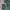 Crocodile Cardigan Green Faded Knitted photo 6