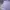 Nike Casual Sweatshirt Pria Purple