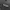 Outdoor Product Script Logo Windproof Hooded Gorpcore photo 6