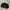 KANGOL FLATCAP 
