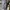 [PARTIMENTO] Baggy Pants Grey⛓️‍💥 photo 7