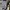 [PARTIMENTO] Baggy Pants Grey⛓️‍💥 photo 6