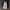 Nike Air Max Dia Black Summit photo 5