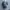 Knit Rajut Basic Lengan Pendek Wanita
By : ensuite
 photo 1