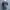 Knit Rajut Basic Lengan Pendek Wanita
By : ensuite
 photo 2