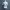 Knit Atasan Rajut Lengan Pendek Presbody photo 2