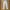 Minimalist Culotte Wanita white photo 2
