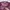 LA PETITE FRANCAISE Purple Mesh Long Sleeve T-Shirt photo 8