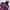 LA PETITE FRANCAISE Purple Mesh Long Sleeve T-Shirt photo 3