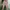 Zara ankle pants woman photo 4