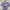 New Crop Top Lavender Baby Purple Stradivarius Girl 