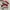 Adidas Campus 00s Scarled Red Gum photo 1