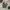 LONGPANTS SMART ANKLE UNIQLO BASIC D GREY photo 1