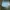 Rok celana golf LPGA photo 1