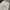 LONGPANTS DENIM AMF BAGGY Y2K BASIC WHITE photo 4