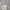 Vintage Casual Cardigan Wanita gray photo 3