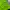 Nike Sportswear Short Pria green photo 3