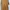 Timberland Minimalist Casual T-shirt Pria Brown