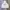 Hoodie Oversize Miami photo 1