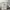 Carhartt Vintage Streetwear Short Pria cream photo 6