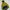 Gorpcore Style Aegis Bloktech Jacket