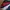 Fila boardshort fila celana pantai vintage second bekas ori photo 2
