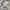 00s Nike Sportwear dye stone photo 7