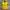 Nike Sportswear Jersey Pria Gold Yellow