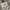 HOLLISTER CALIFORNIA CARGO SHORTS KHAKI - MADE IN BANGLADESH photo 5