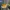 OAKLEY OVER THE TOP Sunglasses Yellow Lens Silver Flame USED photo 9