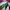 ESTIVO Snowboarding Jacket – High Quality Clothes