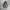Vintage Hoody Pria gray photo 2