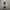Seiko Minimalist Casual Pria white photo 3