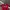 Jersey Ac milan custom fantasy photo 2