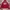 Evisu Streetwear Hoody Pria Red