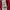 Adidas Spain 2010 FIFA Champions Soccer Jersey - Maroon/Gold photo 3